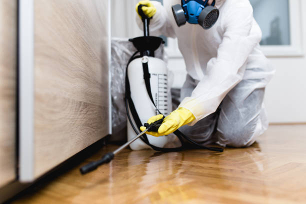 Best Best Pest Control Companies  in Panacea, FL