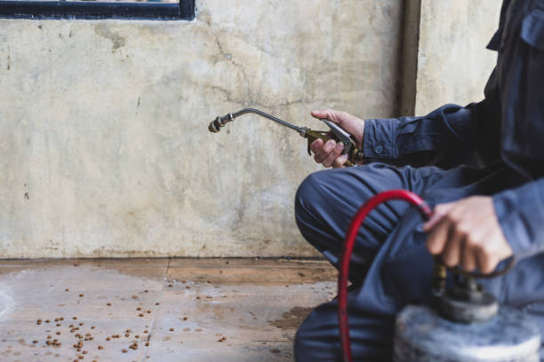 Best Best Pest Control Companies  in Panacea, FL